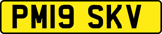 PM19SKV