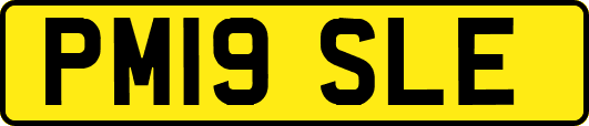 PM19SLE