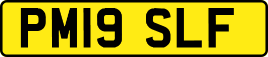 PM19SLF