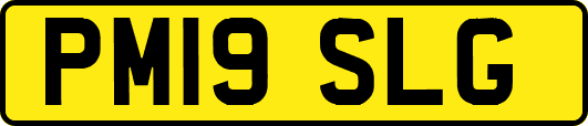 PM19SLG