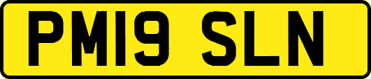 PM19SLN