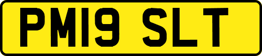 PM19SLT