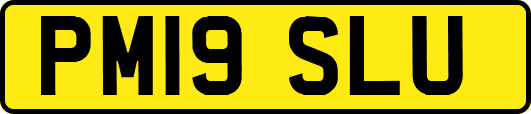 PM19SLU