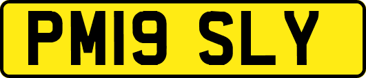 PM19SLY