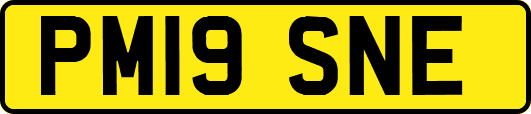 PM19SNE