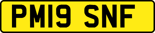 PM19SNF