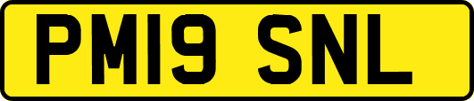 PM19SNL