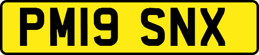 PM19SNX