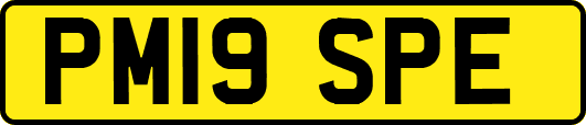 PM19SPE