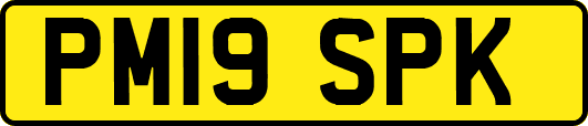 PM19SPK