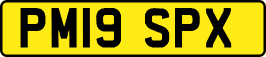 PM19SPX