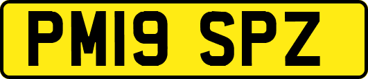 PM19SPZ