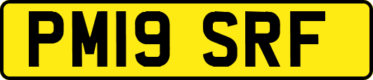 PM19SRF