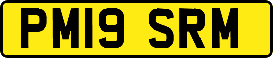 PM19SRM