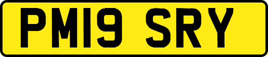 PM19SRY