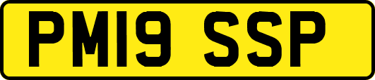 PM19SSP