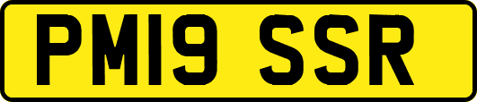 PM19SSR