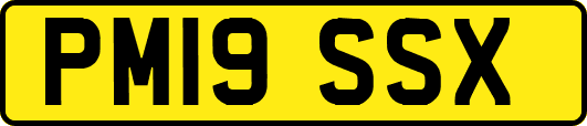 PM19SSX