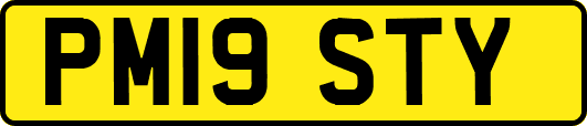 PM19STY