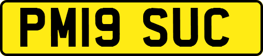 PM19SUC