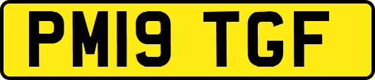 PM19TGF