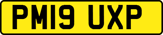 PM19UXP