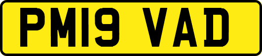 PM19VAD