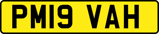 PM19VAH