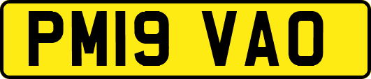 PM19VAO