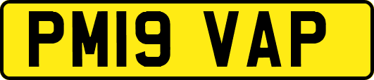 PM19VAP