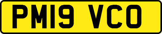 PM19VCO