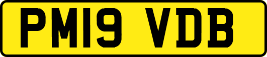 PM19VDB