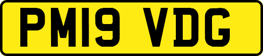 PM19VDG