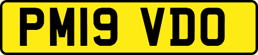 PM19VDO