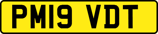 PM19VDT