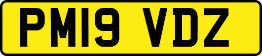 PM19VDZ