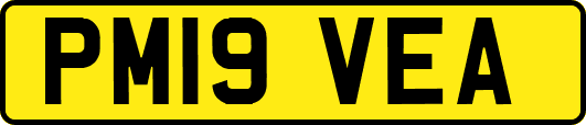 PM19VEA