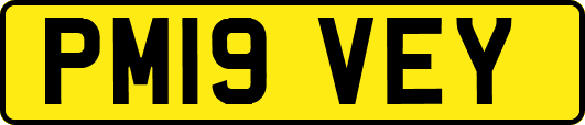 PM19VEY