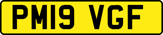 PM19VGF