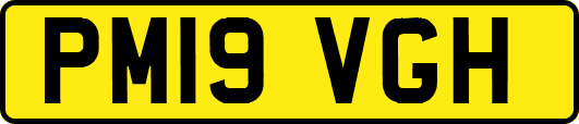 PM19VGH