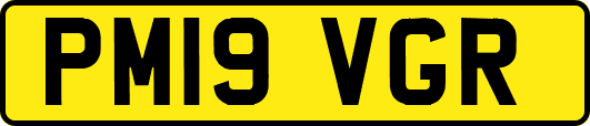 PM19VGR