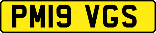 PM19VGS
