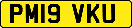 PM19VKU