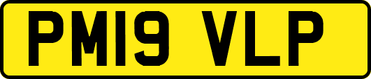 PM19VLP