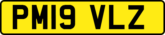 PM19VLZ