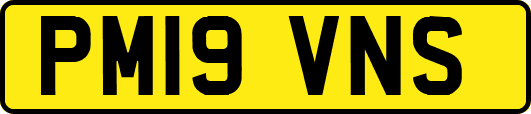 PM19VNS