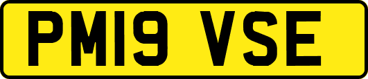 PM19VSE