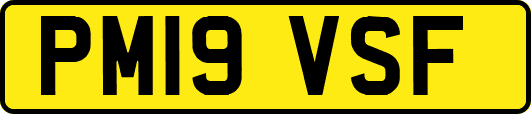 PM19VSF