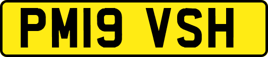 PM19VSH