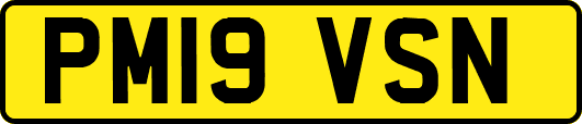 PM19VSN